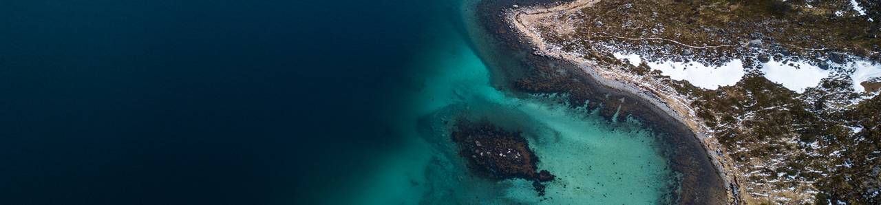 areal view of a ocean coastline