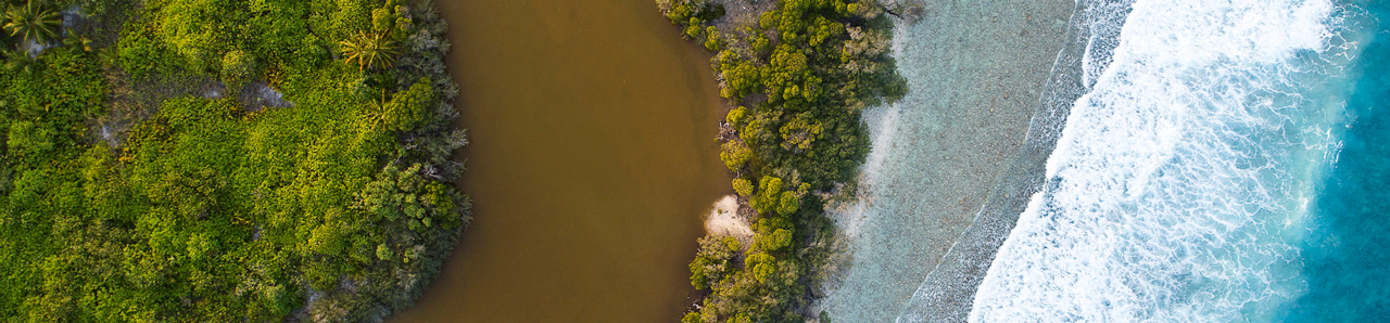 Mangroves coastline and reef