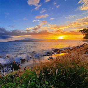 Lahaina Sunset